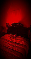20210121_122641_edited.jpg
